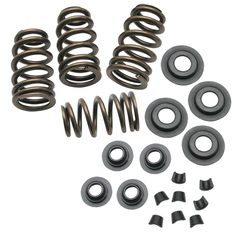 .650" Lift Sidewinder® Valve Spring Kit for 1984-2004 Big Twins and 1986-2003 HD® Sportster® Models